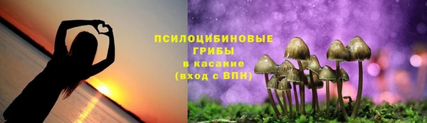 прущий лед Аркадак