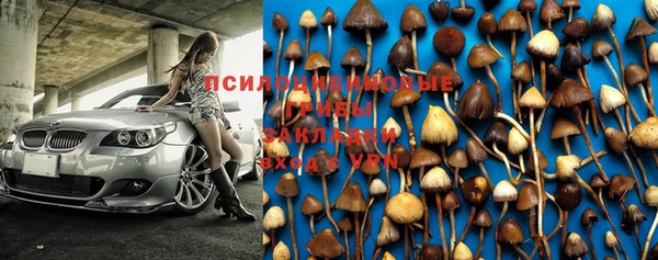 винт Армянск