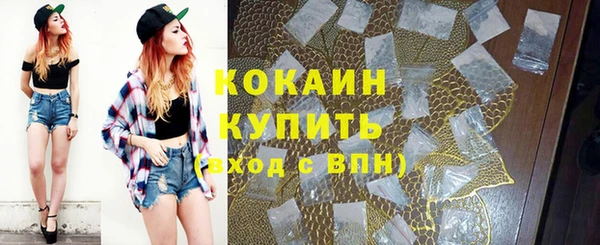 винт Армянск