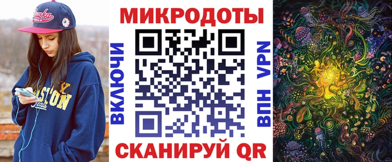 закладка  Демидов  Псилоцибиновые грибы мицелий 